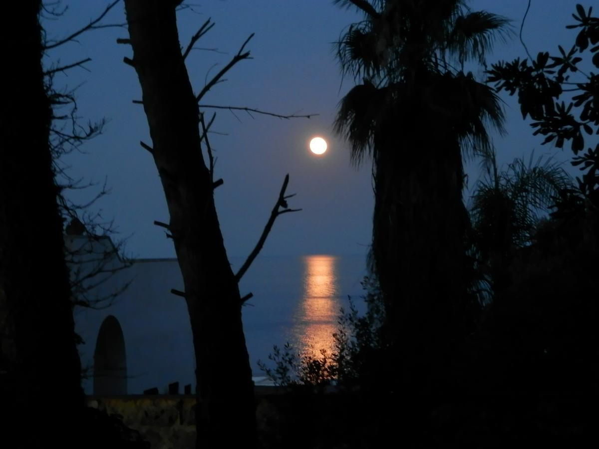 Agriturismo Salento D'Arare Marina Serra Exteriér fotografie